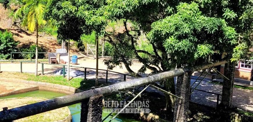 Fazenda à Venda 286 hectares Histórica e Produtiva Pecuária e Alambique | Sumidouro/ RJ