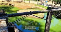 Fazenda à Venda 286 hectares Histórica e Produtiva Pecuária e Alambique | Sumidouro/ RJ