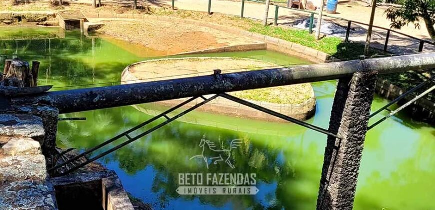 Fazenda à Venda 286 hectares Histórica e Produtiva Pecuária e Alambique | Sumidouro/ RJ