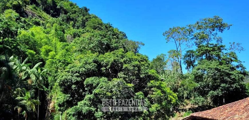 Fazenda à Venda 286 hectares Histórica e Produtiva Pecuária e Alambique | Sumidouro/ RJ