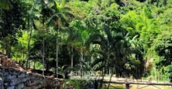 Fazenda à Venda 286 hectares Histórica e Produtiva Pecuária e Alambique | Sumidouro/ RJ