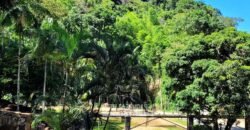 Fazenda à Venda 286 hectares Histórica e Produtiva Pecuária e Alambique | Sumidouro/ RJ