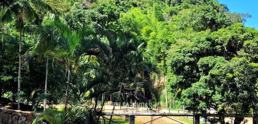 Fazenda à Venda 286 hectares Histórica e Produtiva Pecuária e Alambique | Sumidouro/ RJ