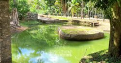 Fazenda à Venda 286 hectares Histórica e Produtiva Pecuária e Alambique | Sumidouro/ RJ