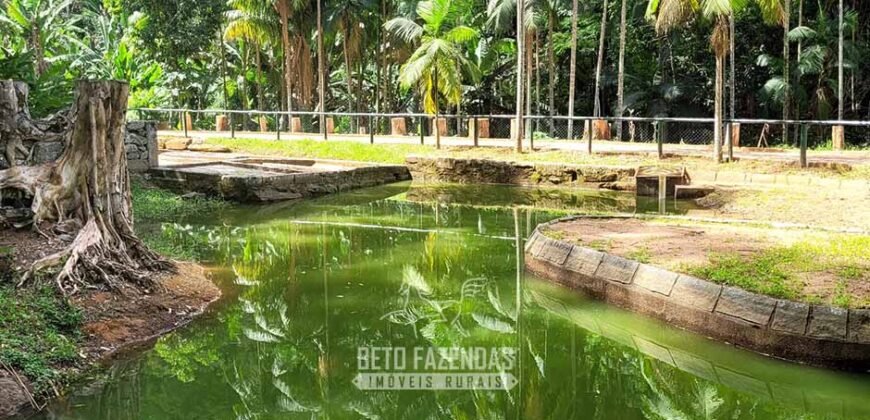 Fazenda à Venda 286 hectares Histórica e Produtiva Pecuária e Alambique | Sumidouro/ RJ