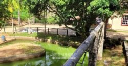 Fazenda à Venda 286 hectares Histórica e Produtiva Pecuária e Alambique | Sumidouro/ RJ