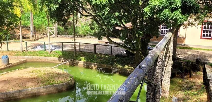 Fazenda à Venda 286 hectares Histórica e Produtiva Pecuária e Alambique | Sumidouro/ RJ