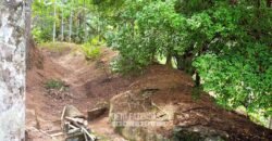 Fazenda à Venda 286 hectares Histórica e Produtiva Pecuária e Alambique | Sumidouro/ RJ