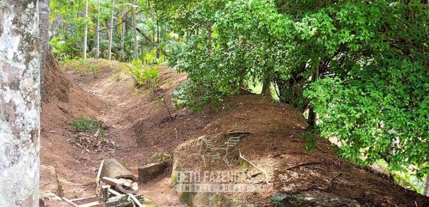 Fazenda à Venda 286 hectares Histórica e Produtiva Pecuária e Alambique | Sumidouro/ RJ