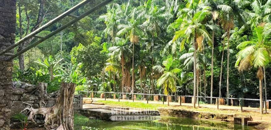 Fazenda à Venda 286 hectares Histórica e Produtiva Pecuária e Alambique | Sumidouro/ RJ