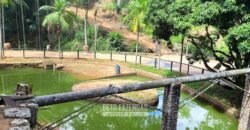 Fazenda à Venda 286 hectares Histórica e Produtiva Pecuária e Alambique | Sumidouro/ RJ