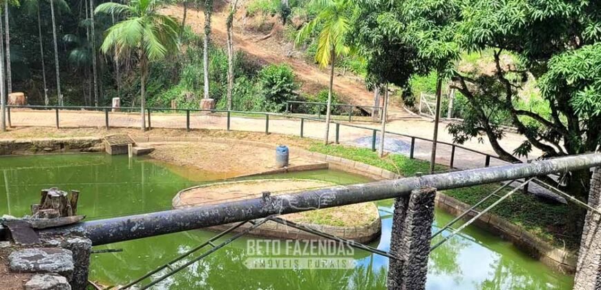 Fazenda à Venda 286 hectares Histórica e Produtiva Pecuária e Alambique | Sumidouro/ RJ