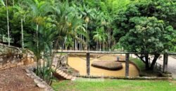 Fazenda à Venda 286 hectares Histórica e Produtiva Pecuária e Alambique | Sumidouro/ RJ