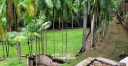 Fazenda à Venda 286 hectares Histórica e Produtiva Pecuária e Alambique | Sumidouro/ RJ