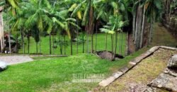 Fazenda à Venda 286 hectares Histórica e Produtiva Pecuária e Alambique | Sumidouro/ RJ