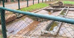 Fazenda à Venda 286 hectares Histórica e Produtiva Pecuária e Alambique | Sumidouro/ RJ