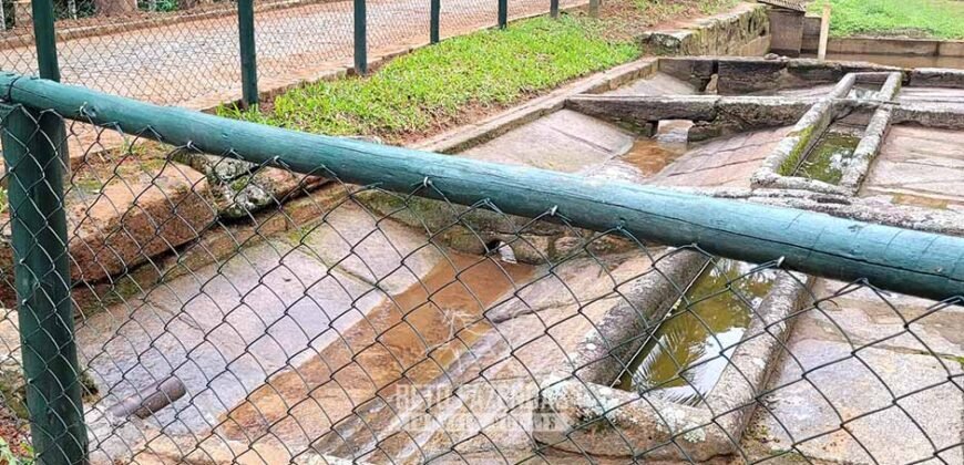 Fazenda à Venda 286 hectares Histórica e Produtiva Pecuária e Alambique | Sumidouro/ RJ