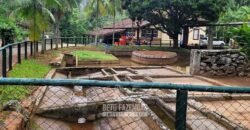 Fazenda à Venda 286 hectares Histórica e Produtiva Pecuária e Alambique | Sumidouro/ RJ