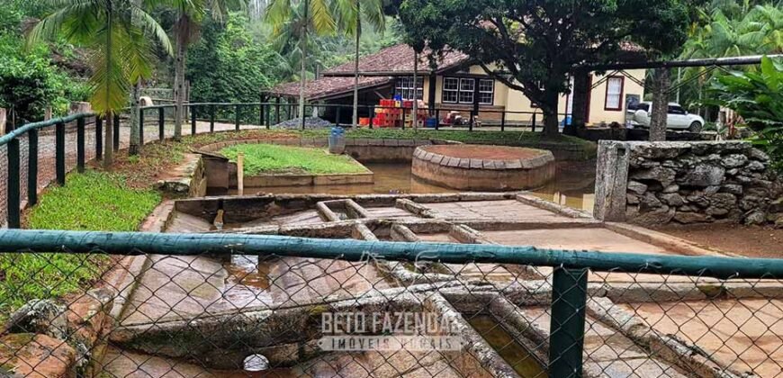 Fazenda à Venda 286 hectares Histórica e Produtiva Pecuária e Alambique | Sumidouro/ RJ