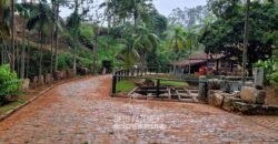Fazenda à Venda 286 hectares Histórica e Produtiva Pecuária e Alambique | Sumidouro/ RJ
