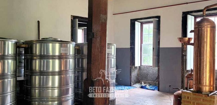 Fazenda à Venda 286 hectares Histórica e Produtiva Pecuária e Alambique | Sumidouro/ RJ