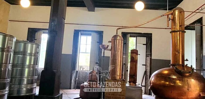Fazenda à Venda 286 hectares Histórica e Produtiva Pecuária e Alambique | Sumidouro/ RJ