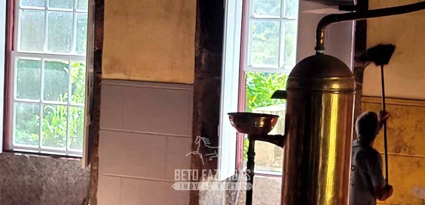 Fazenda à Venda 286 hectares Histórica e Produtiva Pecuária e Alambique | Sumidouro/ RJ