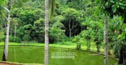 Fazenda à Venda 286 hectares Histórica e Produtiva Pecuária e Alambique | Sumidouro/ RJ