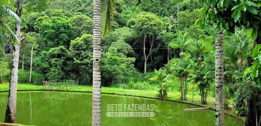 Fazenda à Venda 286 hectares Histórica e Produtiva Pecuária e Alambique | Sumidouro/ RJ