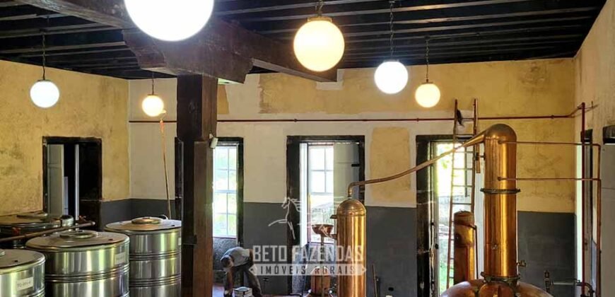 Fazenda à Venda 286 hectares Histórica e Produtiva Pecuária e Alambique | Sumidouro/ RJ