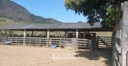 Fazenda à Venda 194 Hectares com Curral e Pastos p/ Pecuária | Trajano de Morais/RJ