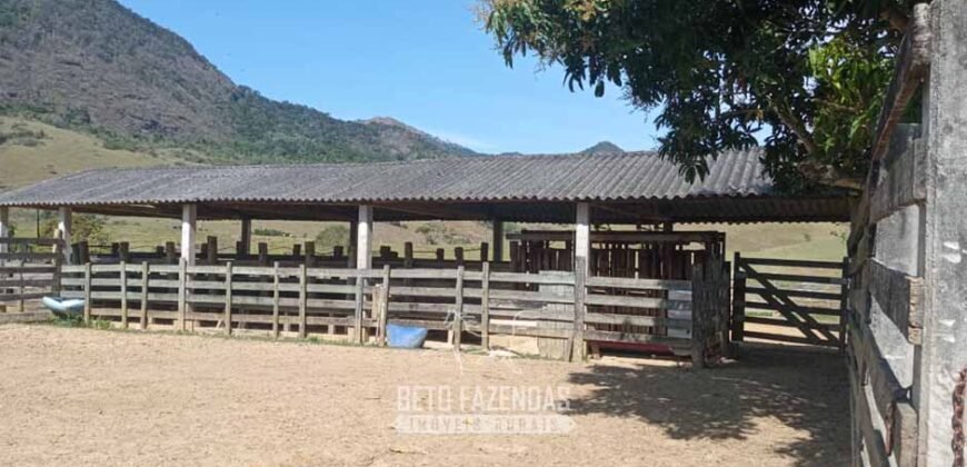 Fazenda à Venda 194 Hectares com Curral e Pastos p/ Pecuária | Trajano de Morais/RJ