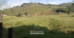 Fazenda à Venda 194 Hectares com Curral e Pastos p/ Pecuária | Trajano de Morais/RJ