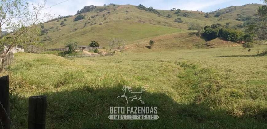 Fazenda à Venda 194 Hectares com Curral e Pastos p/ Pecuária | Trajano de Morais/RJ