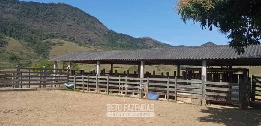 Fazenda à Venda 194 Hectares com Curral e Pastos p/ Pecuária | Trajano de Morais/RJ