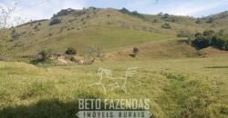 Fazenda à Venda 194 Hectares com Curral e Pastos p/ Pecuária | Trajano de Morais/RJ