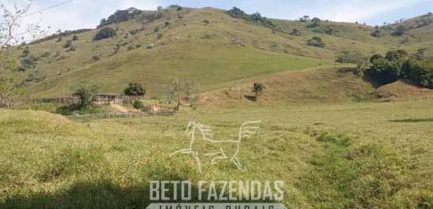 Fazenda à Venda 194 Hectares com Curral e Pastos p/ Pecuária | Trajano de Morais/RJ