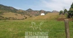 Fazenda à Venda 194 Hectares com Curral e Pastos p/ Pecuária | Trajano de Morais/RJ