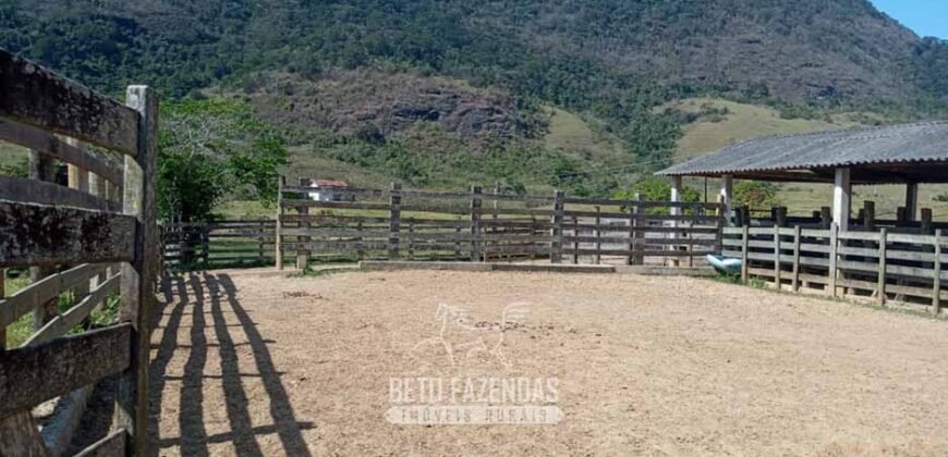 Fazenda à Venda 194 Hectares com Curral e Pastos p/ Pecuária | Trajano de Morais/RJ