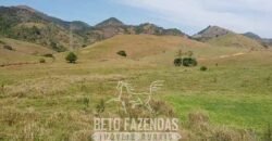 Fazenda à Venda 194 Hectares com Curral e Pastos p/ Pecuária | Trajano de Morais/RJ