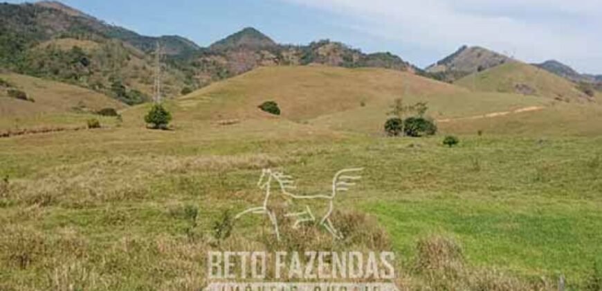 Fazenda à Venda 194 Hectares com Curral e Pastos p/ Pecuária | Trajano de Morais/RJ