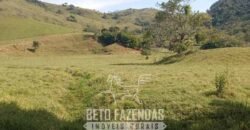 Fazenda à Venda 194 Hectares com Curral e Pastos p/ Pecuária | Trajano de Morais/RJ