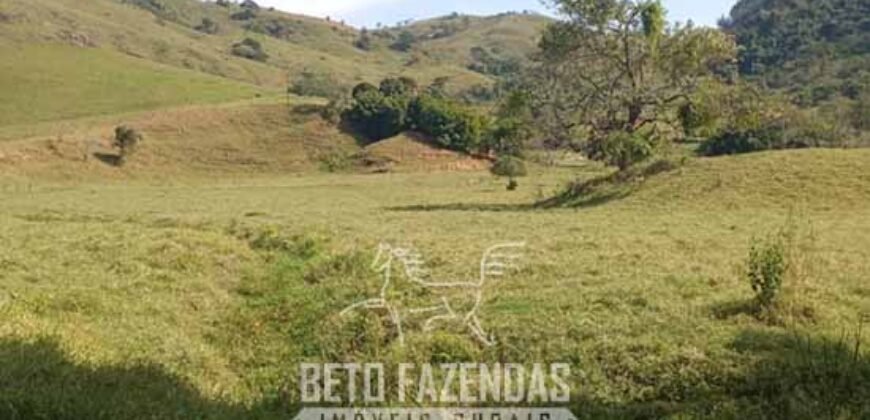 Fazenda à Venda 194 Hectares com Curral e Pastos p/ Pecuária | Trajano de Morais/RJ