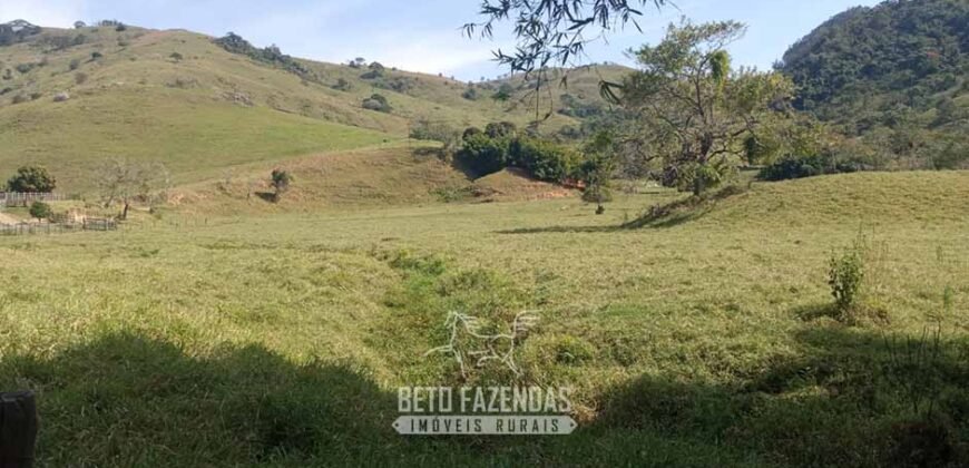 Fazenda à Venda 194 Hectares com Curral e Pastos p/ Pecuária | Trajano de Morais/RJ