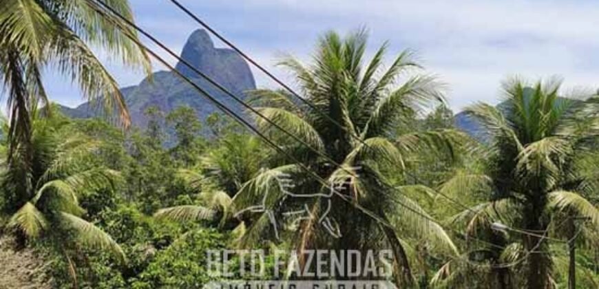 Sítio à Vanda 4 Alqueires Paraíso na Serra Macaense Lazer Completo Turístico | Macaé/RJ