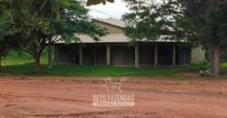 Fazenda à Venda 12.000 Hectares Dupla Aptidão Excelente Oportunidade | Colinas do Tocantins/TO