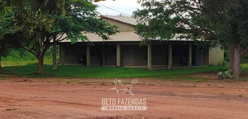 Fazenda à Venda 12.000 Hectares Dupla Aptidão Excelente Oportunidade | Colinas do Tocantins/TO