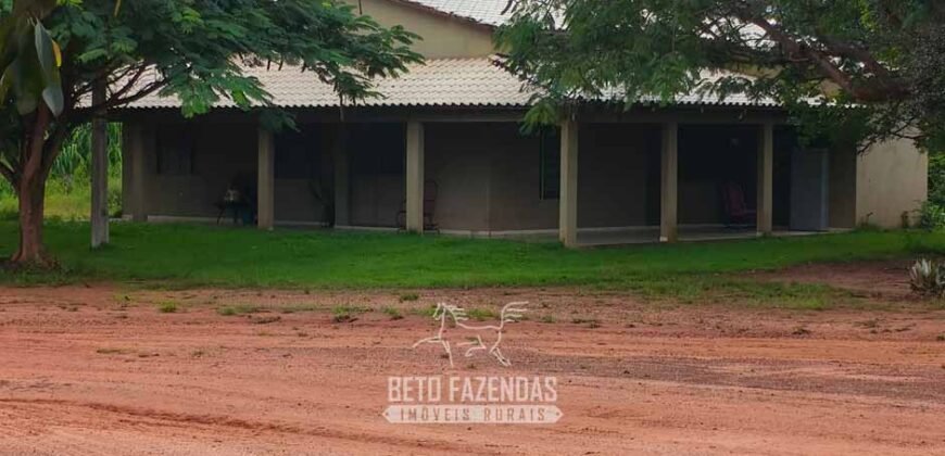 Fazenda à Venda 12.000 Hectares Dupla Aptidão Excelente Oportunidade | Colinas do Tocantins/TO