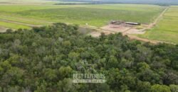 Fazenda à Venda 12.000 Hectares Dupla Aptidão Excelente Oportunidade | Colinas do Tocantins/TO