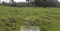 Fazenda à Venda 12.000 Hectares Dupla Aptidão Excelente Oportunidade | Colinas do Tocantins/TO